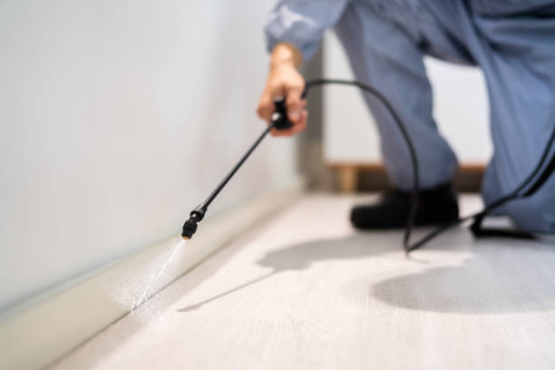 Licensed Ant Control service in New Concord, OH - Nex Pest Control