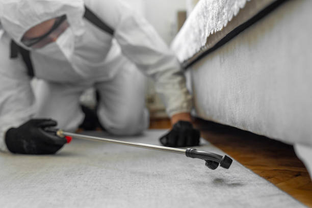 Professional Ant Control technician working in New Concord, OH