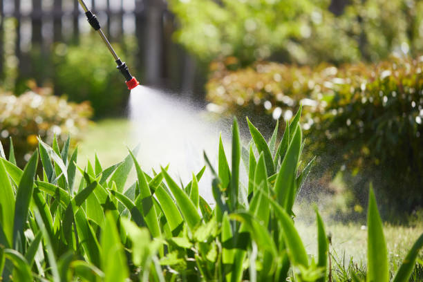 24/7 Emergency Ant Control experts in New Concord, OH