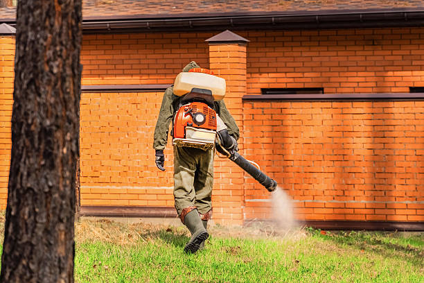 Trusted Rodent Control service in New Concord, OH - Nex Pest Control
